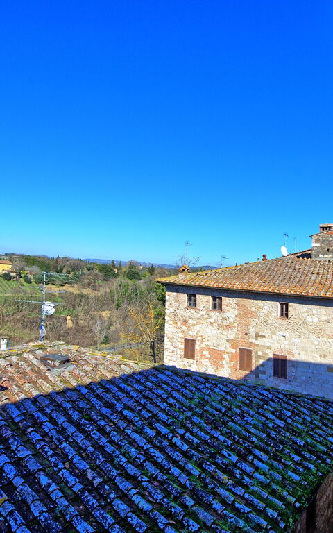 Palazzo Del Capitano: Visningar