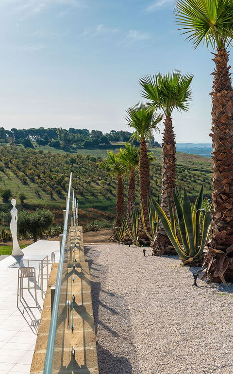 Villa Camemi: Sommar, Trädgård, Utomhus