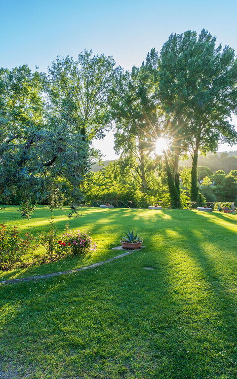 Santa Flora: Trädgård, Utomhus