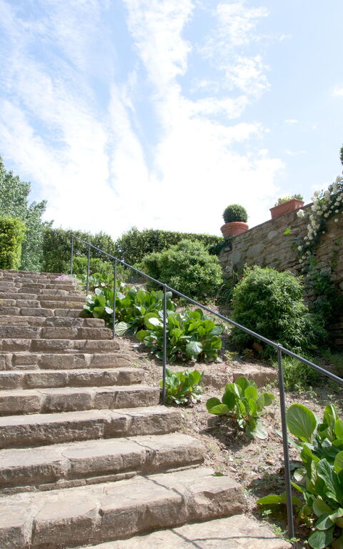 Santa Flora: Trädgård, Utomhus