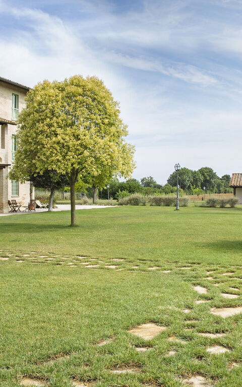 Villa Apollinare: Trädgård