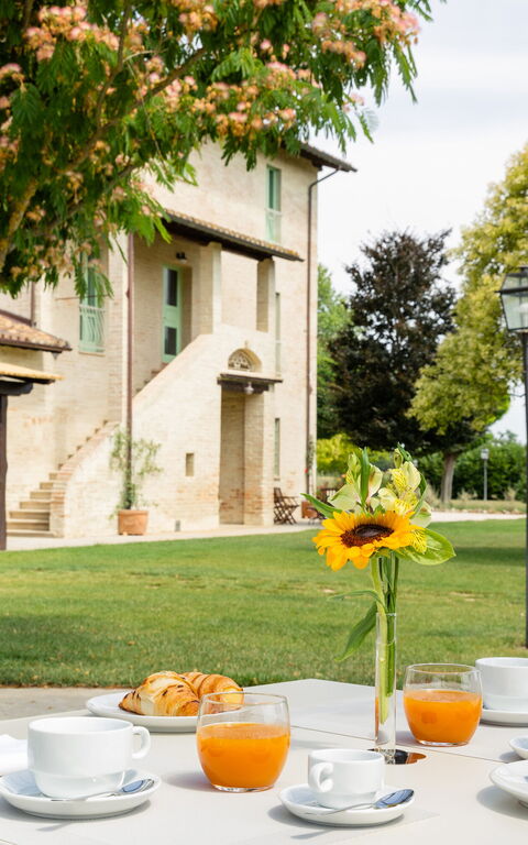 Villa Apollinare: Trädgård