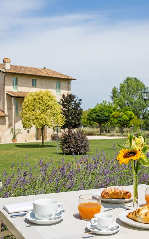 Villa Apollinare: Trädgård, Utomhus