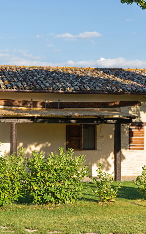 Villa Apollinare: Trädgård, Utomhus