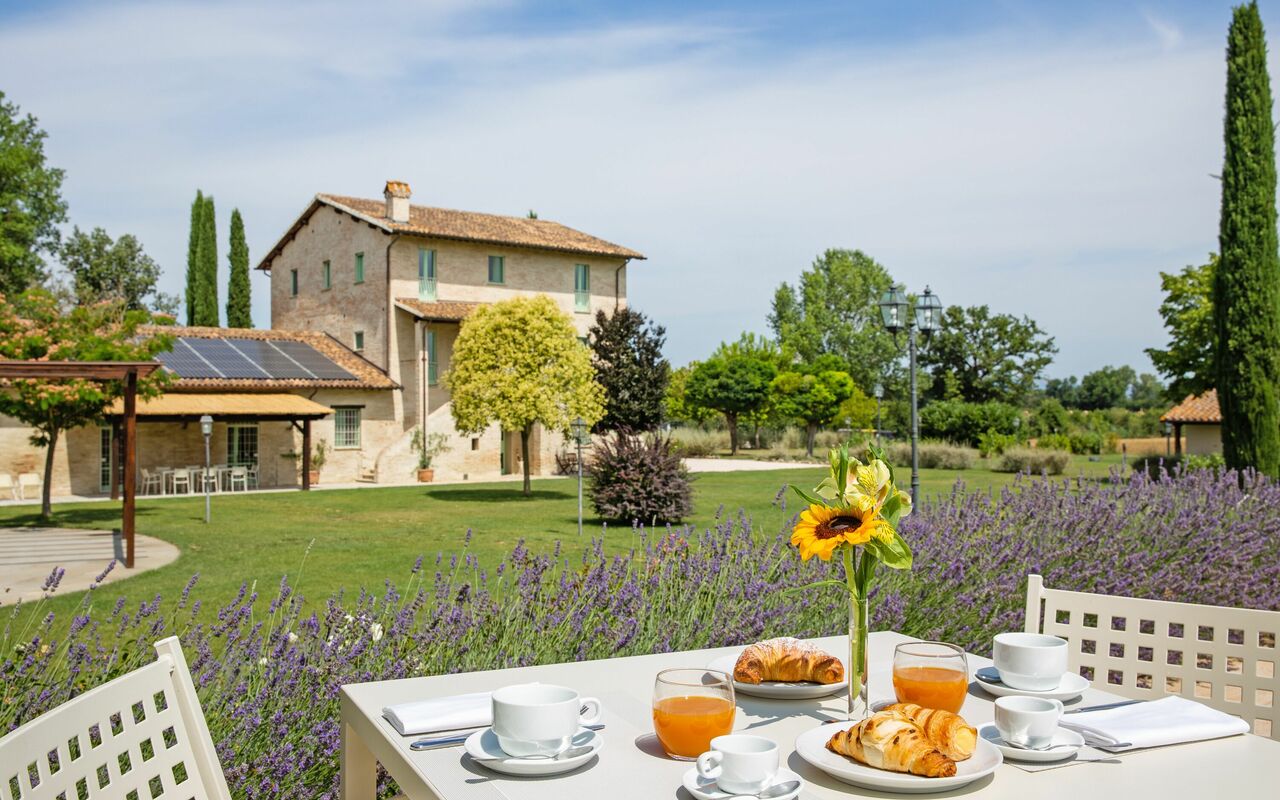 Villa Apollinare: Trädgård, Utomhus