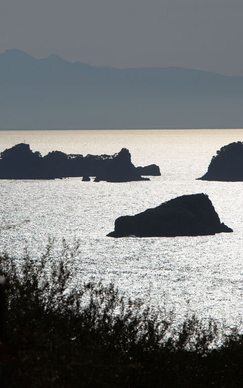 Villa Marianna: Visningar