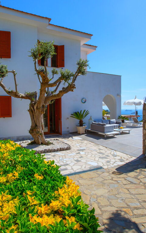 Villa Marianna: Exteriör, Utomhus, Visningar