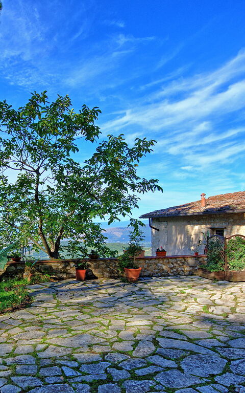 Villa Ancora: Trädgård, Utomhus