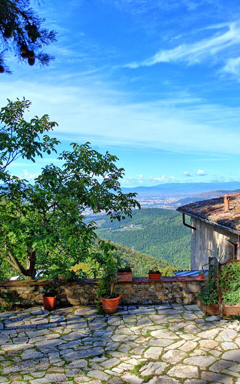 Villa Ancora: Trädgård, Utomhus