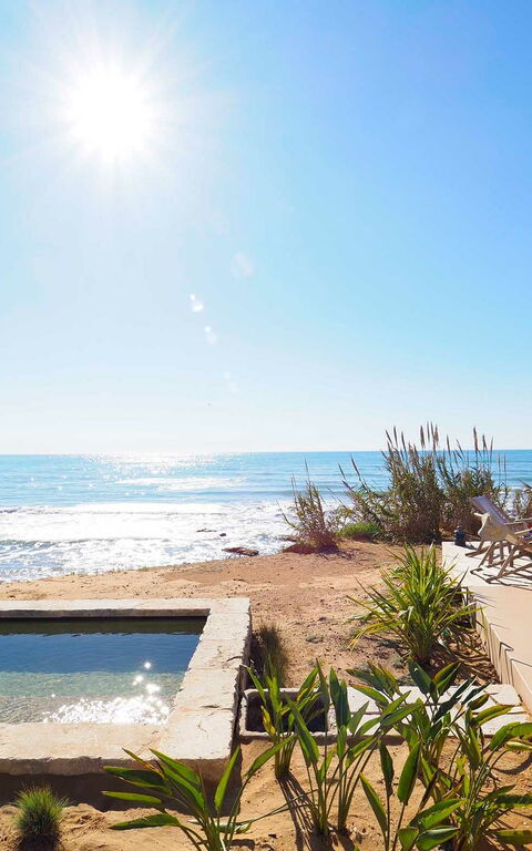 Circe: slå samman, Sommar, Trädgård, Visningar