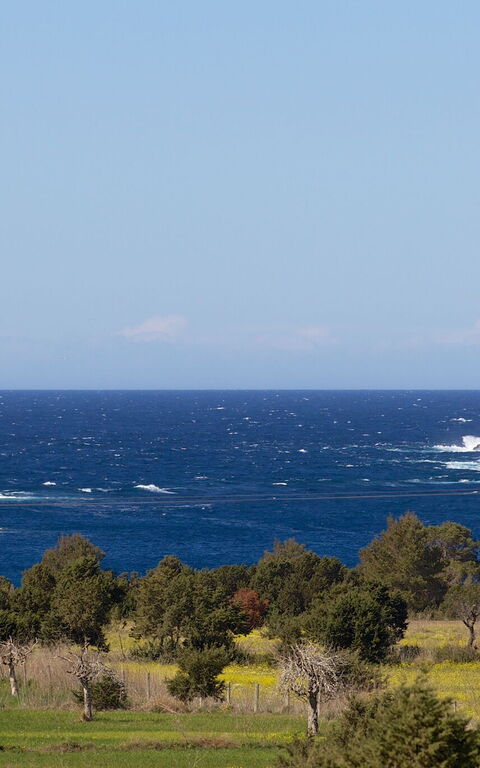 Cala Conta Dream: Trädgård, Utomhus, Visningar