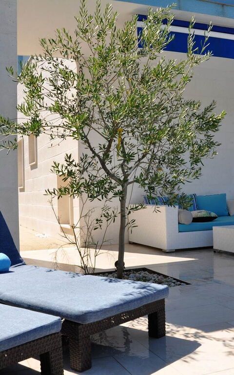 Villa Mermaid: Balkong / terrass / uteplats, Exteriör, Utomhus