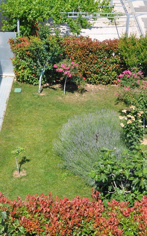 Villa Mermaid: Exteriör, Trädgård, Utomhus