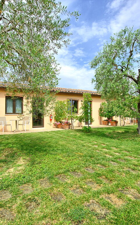 Villa Le Buche: Trädgård, Utomhus