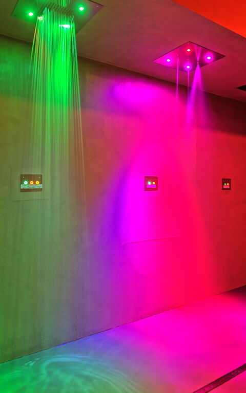 Villa Le Buche: Välfärd