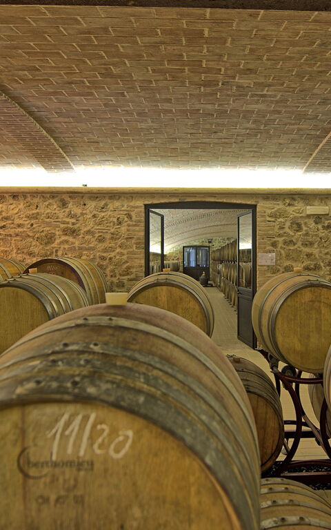 Villa Le Buche: Aktiviteter, Bekvämligheter