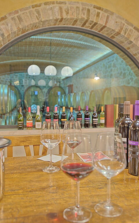 Villa Le Buche: Aktiviteter