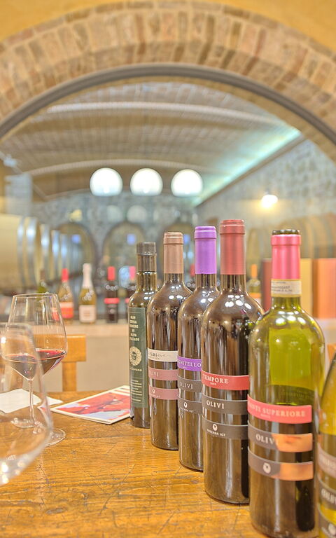 Villa Le Buche: Aktiviteter, Bekvämligheter