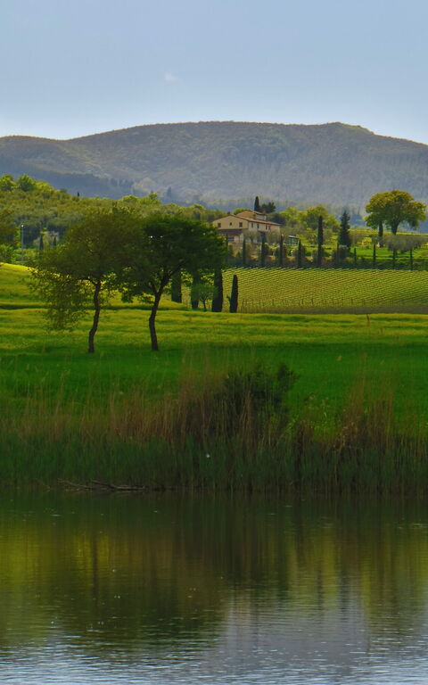 Villa Le Buche: Visningar