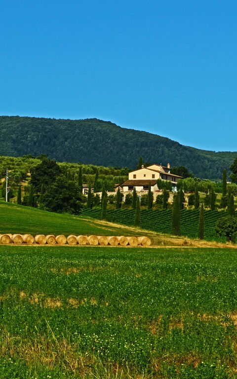 Villa Le Buche: Visningar