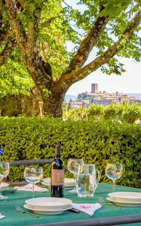 Villa Sorbaiano: Trädgård