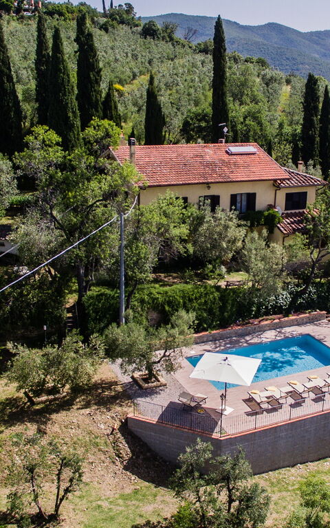 Casale Condottiero: Visningar