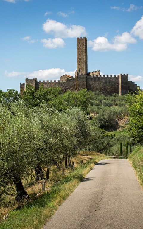 Casale Condottiero: Bekvämligheter, Visningar