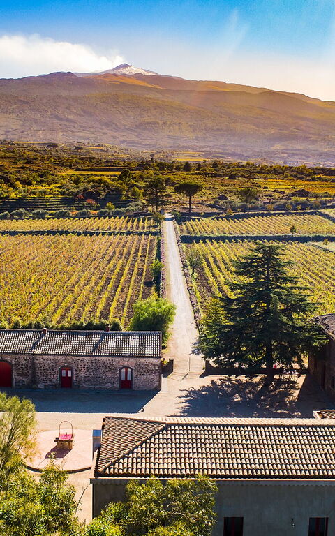 Etna Retreat: Utomhus, Visningar