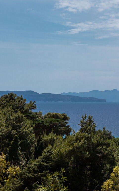 Villa Annalisa: Sommar, Visningar