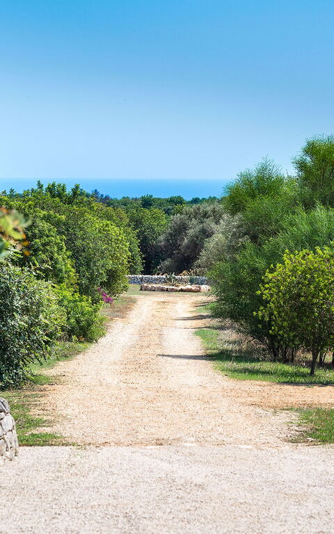 Villa Dimora Pura: Trädgård, Utomhus