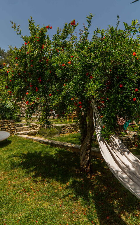 Villa Eftychia: Trädgård, Utomhus