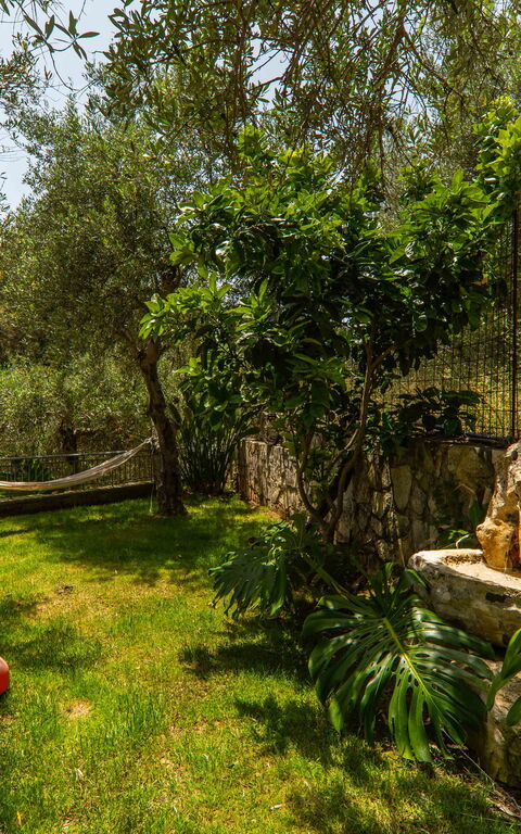 Villa Eftychia: Trädgård, Utomhus