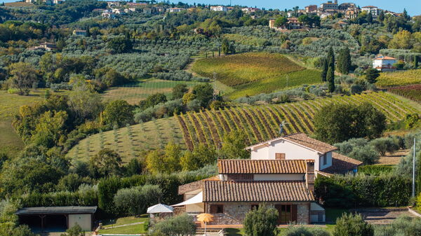 Villa Renina: Utomhus, Visningar