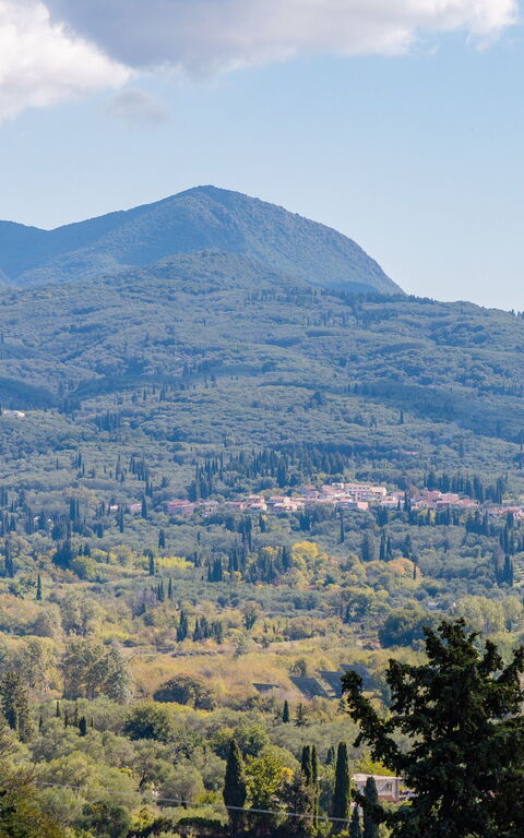 Villa Dinos: Visningar