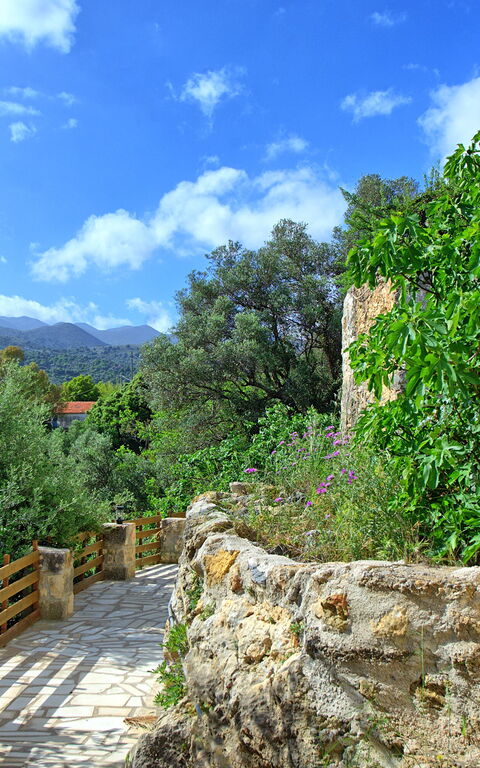 Villa Vicilla: Utomhus