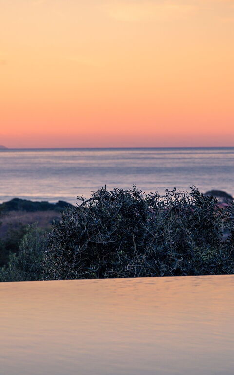 Villa Ebellina: slå samman, Visningar