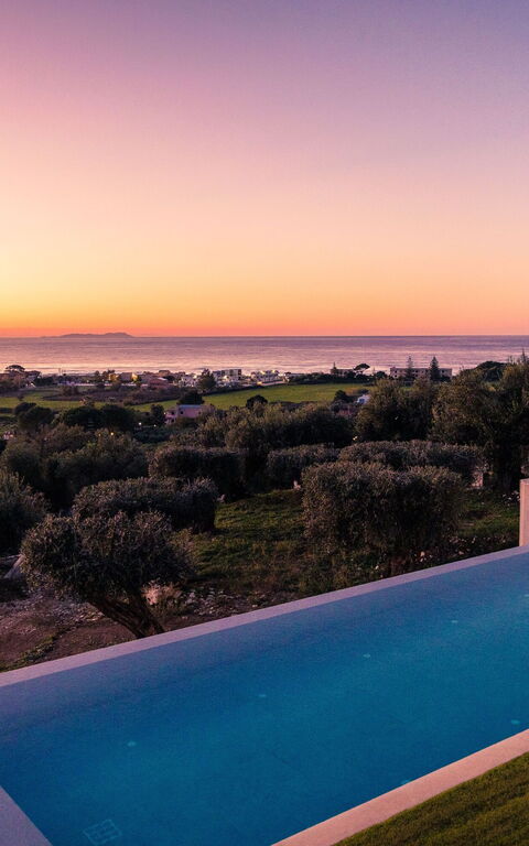 Villa Ebellina: slå samman, Visningar