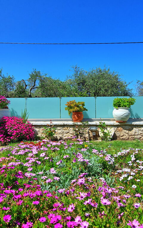 Villa Elaia: Trädgård, Utomhus