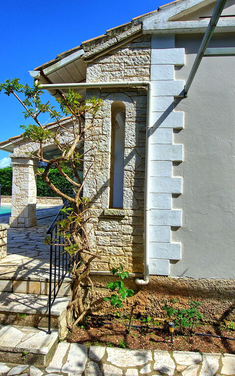 Villa Dimitris: Trädgård, Utomhus