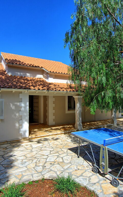 Villa Dimitris: Exteriör, Trädgård