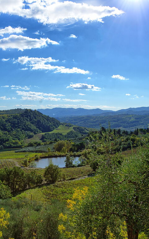 San Guido: Utomhus, Visningar