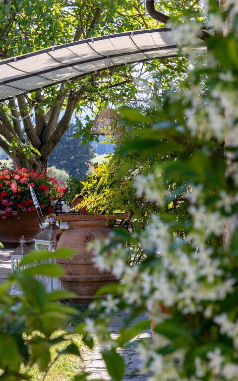 San Guido: Trädgård, Utomhus