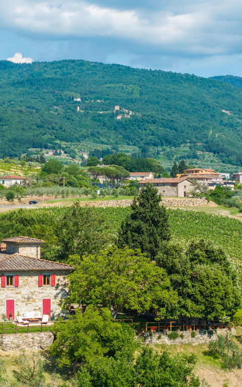 San Guido: Utomhus, Visningar