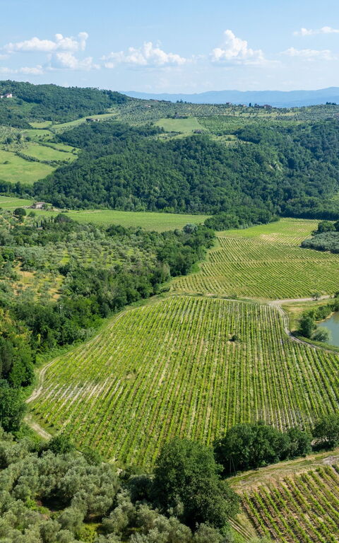 San Guido: Utomhus, Visningar