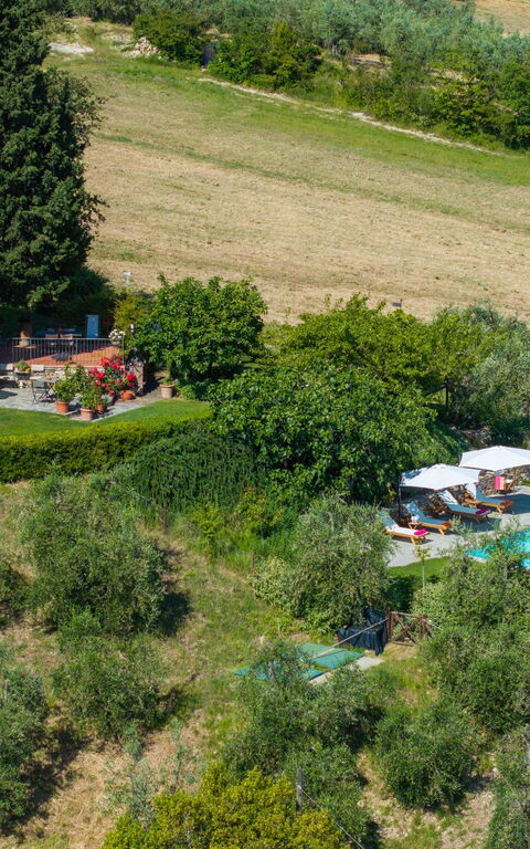 San Guido: Utomhus, Visningar