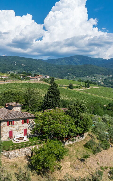 San Guido: Utomhus, Visningar