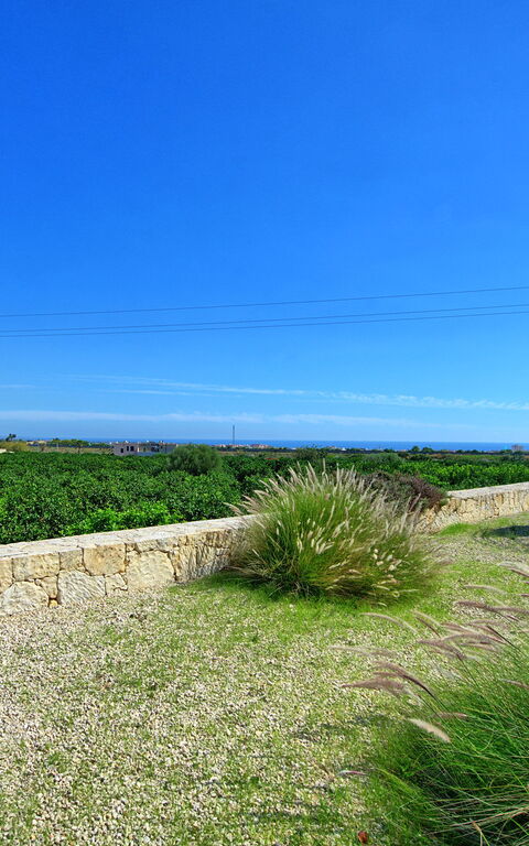 Tenuta Olearum: Sommar, Trädgård, Utomhus