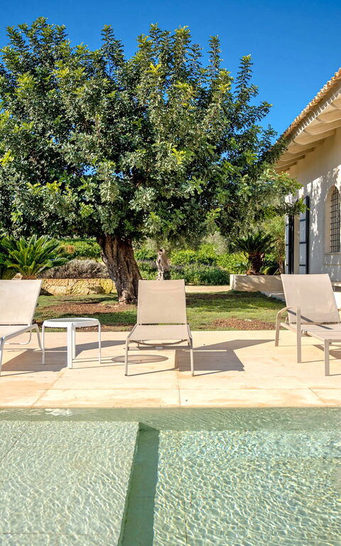 Tenuta Olearum: slå samman