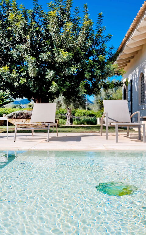 Tenuta Olearum: slå samman