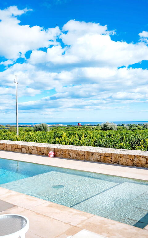 Tenuta Olearum: slå samman, Visningar